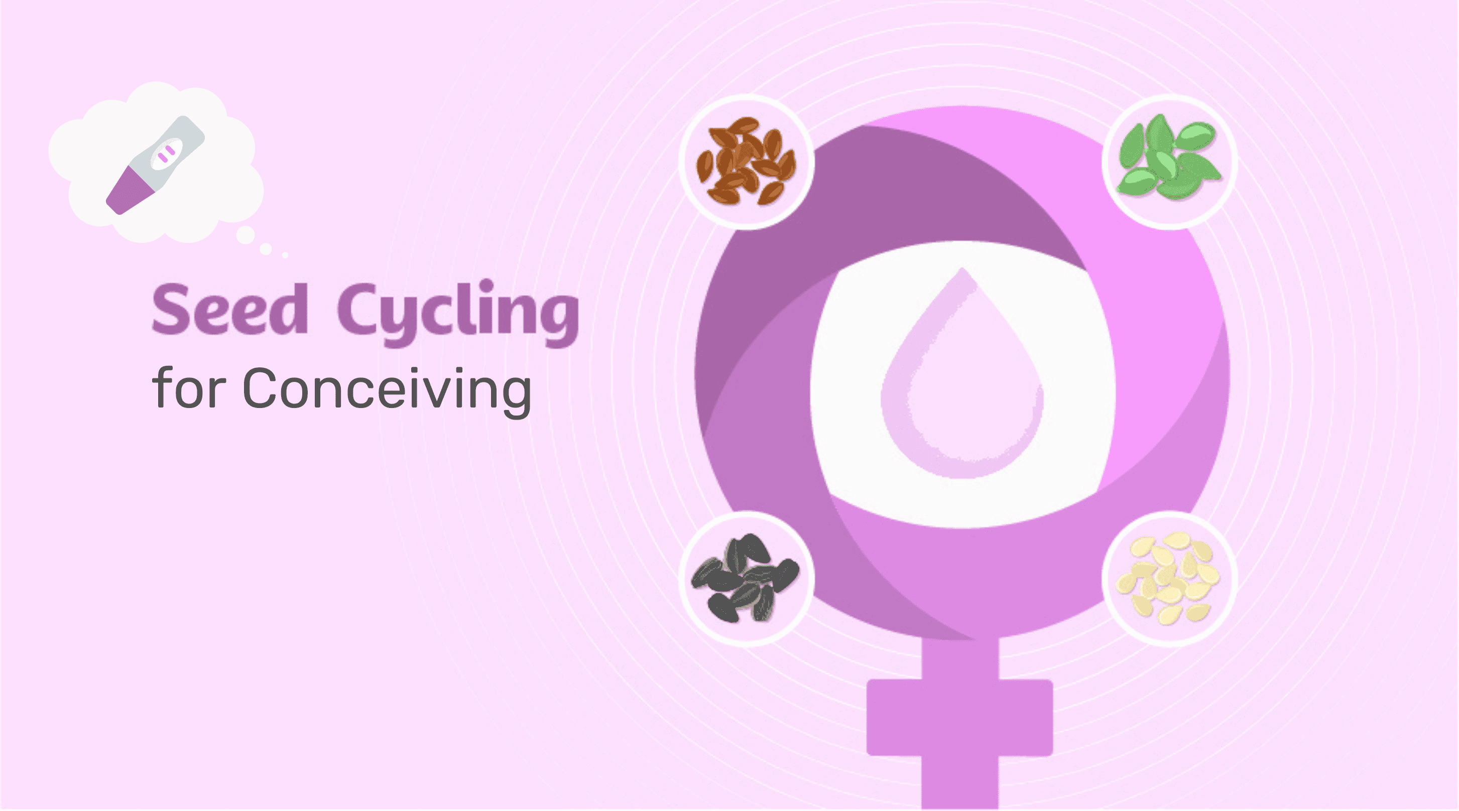 Seed Cycling for Conceiving